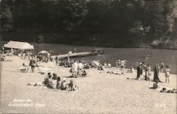 Beach at Guernewood Park Postcard