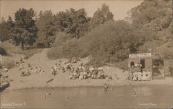 Sandy Beach Postcard