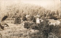 Yarbrough's Guerneville, CA Postcard Postcard Postcard