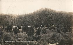 Southside Farm Guerneville, CA Postcard Postcard Postcard