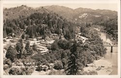 Russian River Guerneville, CA Postcard Postcard Postcard