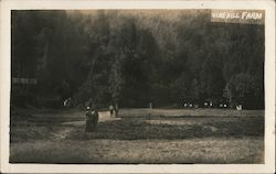 Vine Hill Farm Postcard