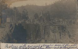 Pasture with Redwood Stumps Guerneville, CA Postcard Postcard Postcard