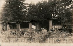 Two Houses in Overgrown Vegetation Guerneville, CA Postcard Postcard Postcard