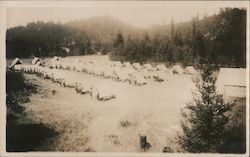 A Large Camp Site Guerneville, CA Postcard Postcard Postcard