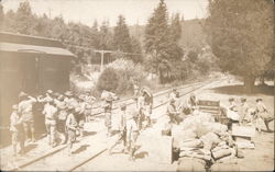 Men and a Horse Drawn Carriage Guerneville, CA Postcard Postcard Postcard