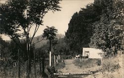 Russian River Camping Grounds Guerneville, CA Postcard Postcard Postcard