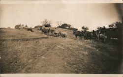 A Line of Horse Drawn Carriages Postcard