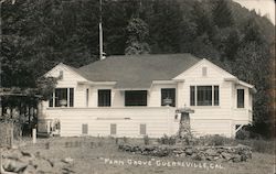 "Fern Grove" at Guerneville, Cal. Postcard