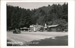 Main Entrance to Ferngrove Resort Guerneville, CA Postcard Postcard Postcard