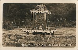 FERNGROVE FOUNTAIN GUERNEVILLE CAL. California Postcard Postcard Postcard