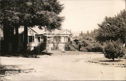 Ferngrove Resort Guerneville, CA Postcard Postcard Postcard