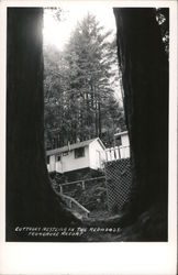 Cottage Nestling in the Redwoods Ferngrove Resort Guerneville, CA Postcard Postcard Postcard