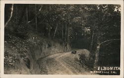 Elbonita Guerneville, CA Postcard Postcard Postcard