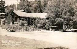 Dining Room Murphy's Guest Ranch Guerneville, CA Postcard Postcard Postcard