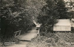 Murphy's Resort Guerneville, CA Postcard Postcard Postcard