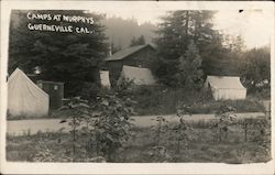 Camps At Murphys Guerneville, CA Postcard Postcard Postcard