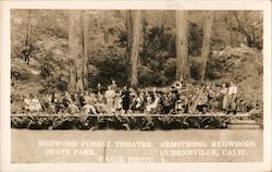 Redwood Forest Theatre Armstrong Redwoods State Park Postcard