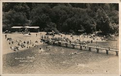 Neely's Beach Postcard