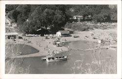 Aerial View of River Bank Guerneville, CA Postcard Postcard Postcard