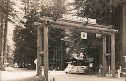 Guernewood Park Guerneville, CA Postcard Postcard Postcard