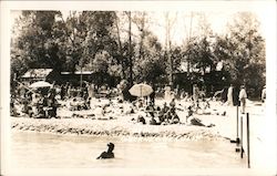 People Sunbathing and Playing in the River Guerneville, CA Postcard Postcard Postcard