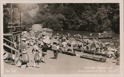 On the Bench of Geurnewood Park Guerneville, CA Postcard Postcard Postcard