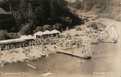 Lots of People on the River Bank Postcard