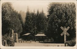 A Railroad Crossing Guerneville, CA Postcard Postcard Postcard