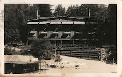 Tavern Guernewood Park Guerneville, CA Postcard Postcard Postcard