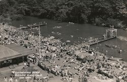 Geurnewood Beach Russian River Postcard