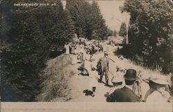 Guernewood Park Guerneville, CA Postcard Postcard Postcard