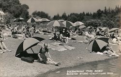 Guernewood Park Beach Russian River, CA Postcard Postcard Postcard