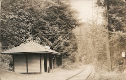 Railroad Tracks and Station Guerneville, CA Postcard Postcard Postcard