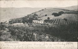 Snell's Panorama Farm Los Gatos, CA Postcard Postcard Postcard