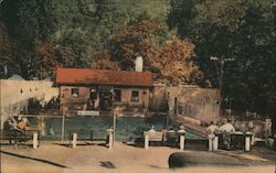 A Swimming Pool Postcard