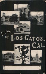 Views of Los Gatos Postcard