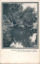 Swimming Pool under the arching Willows in a Los Altos garden, California Los Gatos, CA Postcard Postcard Postcard