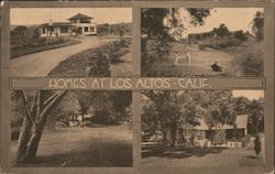 Homes at Los Altos, Cal Postcard