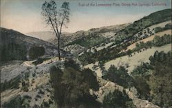 Trail of the Lonesome Pine, Gilroy Hot Springs Postcard