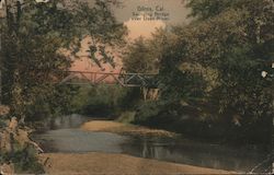 Swinging Bridge Over Uvas River Postcard