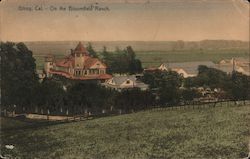 On the Bloomfield Ranch Postcard