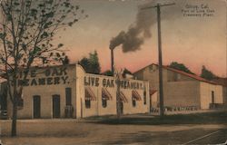 Part of Live Oak Creamery Plant Postcard