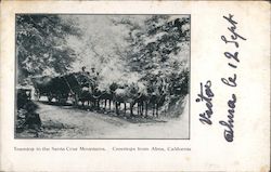 Teaming in the Santa Cruz Mountains Postcard