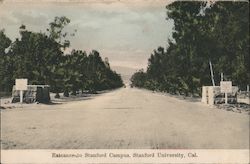 Entrance to Stanford Campus, Stanford University California Postcard Postcard Postcard