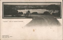 Lagunita Lake at Stanford University Postcard