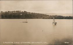 Lagunita Lake, Stanford University Postcard