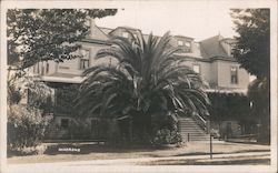 Stanford University Postcard