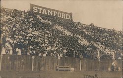 In the Stands at Stanford, Football Stanford University, CA Postcard Postcard Postcard