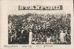 Stanford - Bleachers at the Game Postcard